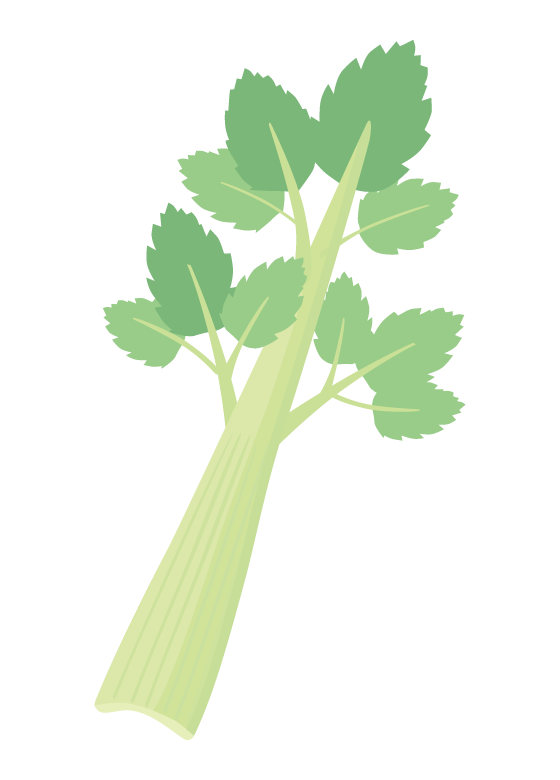 セロリのイラスト