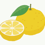 柚子のイラスト