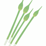 ニンニクの芽のイラスト