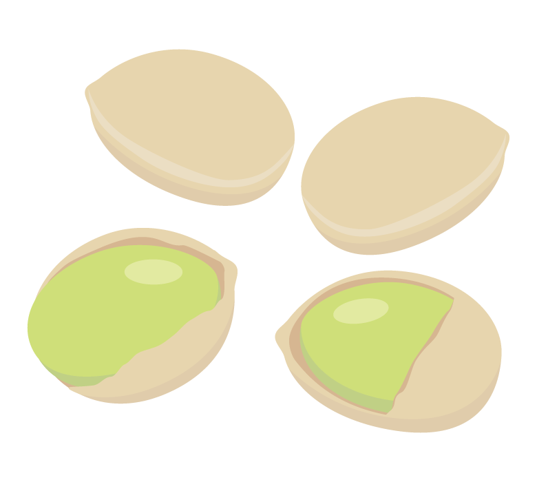 ぎんなん（銀杏）のイラスト