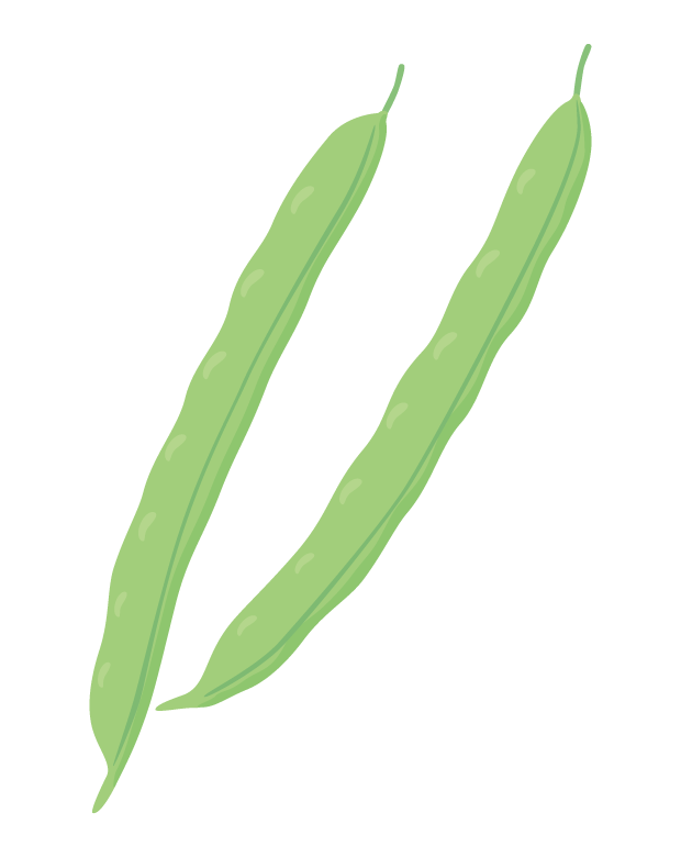 サヤインゲンのイラスト