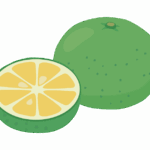 カボスのイラスト