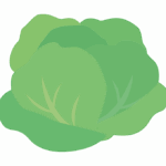サラダ菜のイラスト