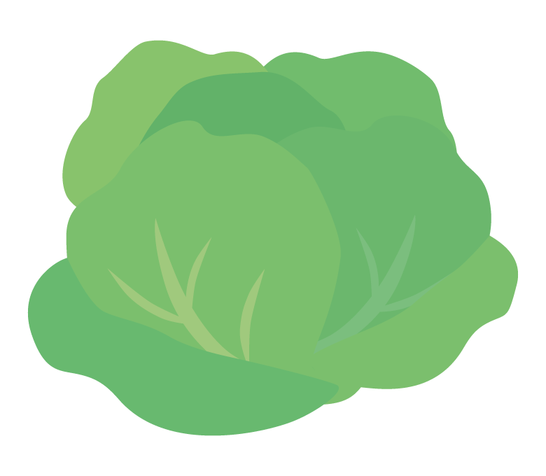 サラダ菜のイラスト