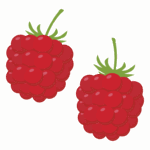 ラズベリーのイラスト