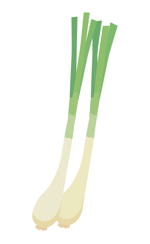 エシャロットのイラスト
