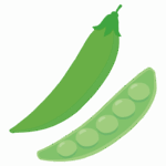 スナップえんどうのイラスト
