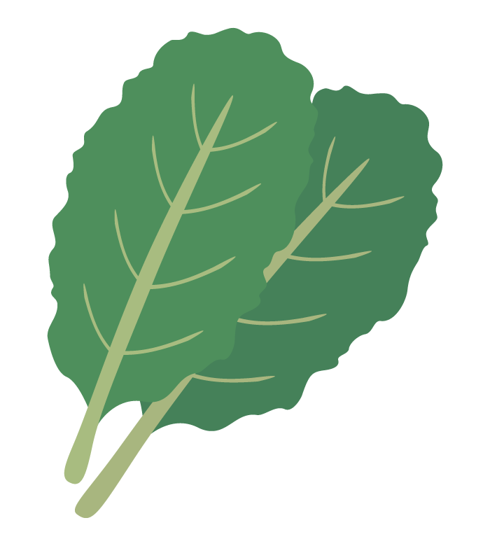ケールのイラスト