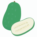冬瓜のイラスト