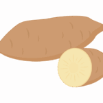 ヤーコンのイラスト
