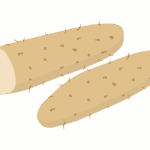 山芋のイラスト