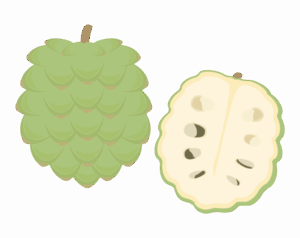 アテモヤのイラスト