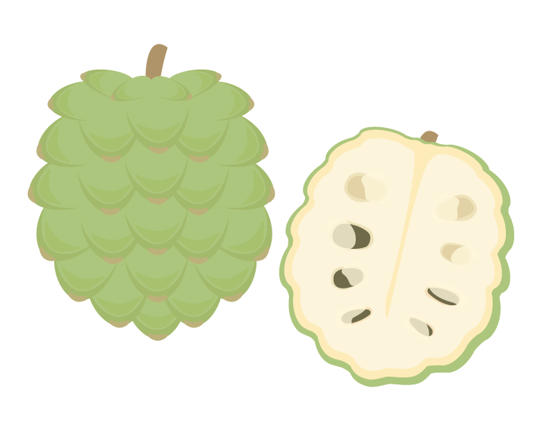 アテモヤのイラスト