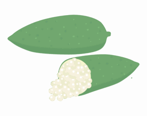 フィンガーライムのイラスト
