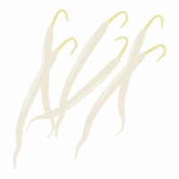 もやしのイラスト