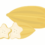 ババコのイラスト