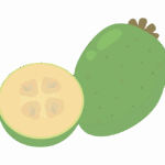 フェイジョアのイラスト