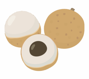 竜眼のイラスト
