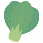 チンゲンサイ（青梗菜）のイラスト
