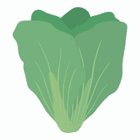 広島菜のイラスト