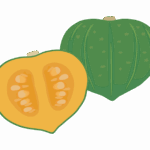 九重栗かぼちゃのイラスト