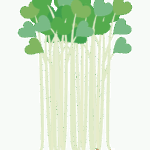 かいわれ大根のイラスト
