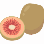 赤い果肉のキウイのイラスト