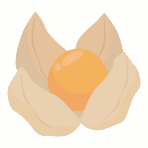 ストロベリートマトのイラスト