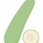 夕顔のイラスト