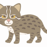 イリオモテヤマネコのイラスト