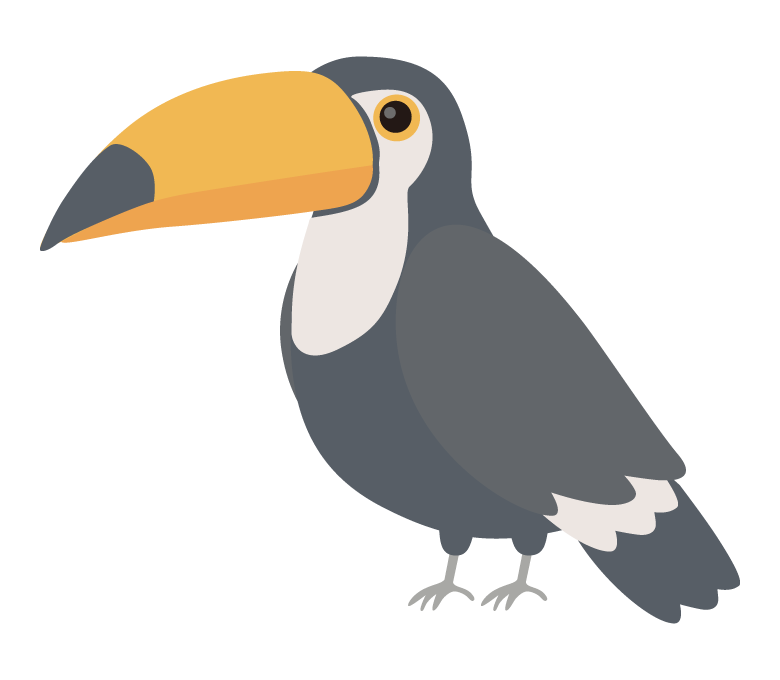 オオハシのイラスト