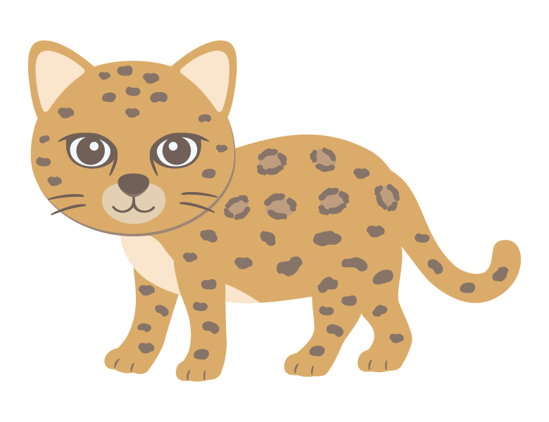 アムールヒョウのイラスト