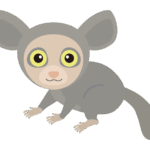 アイアイのイラスト