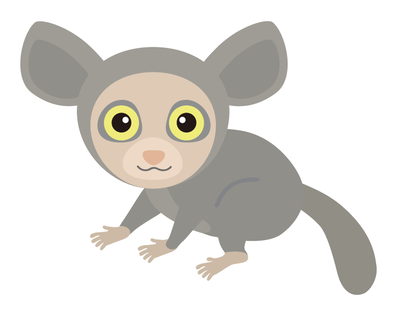 アイアイのイラスト