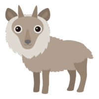 かわいいニホンカモシカのイラスト