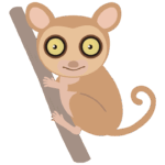 メガネザルのイラスト