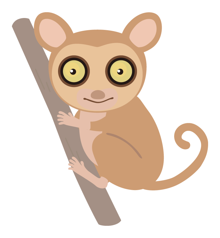 メガネザルのイラスト