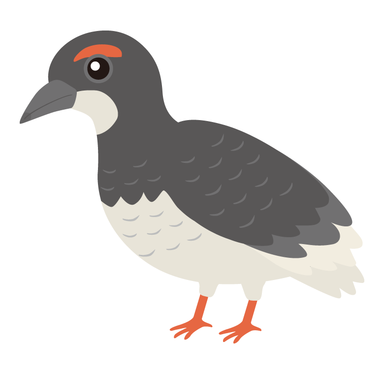 ライチョウのイラスト