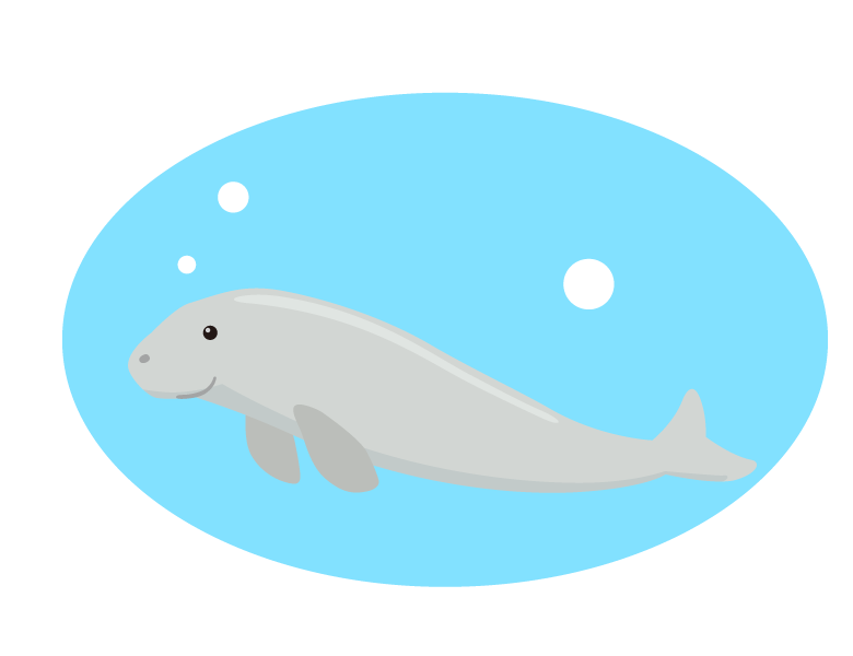 ジュゴンのイラスト