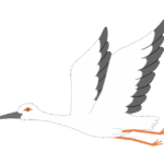 コウノトリのイラスト