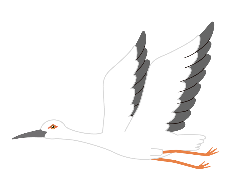 コウノトリのイラスト