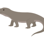 コモドオオトカゲのイラスト