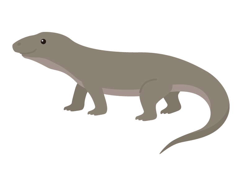 コモドオオトカゲのイラスト