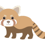かわいいレッサーパンダのイラスト