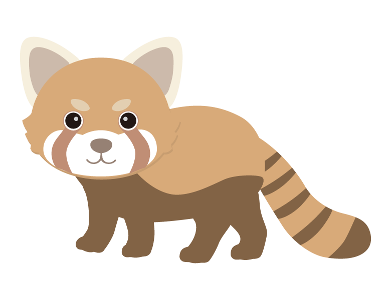 かわいいレッサーパンダのイラスト