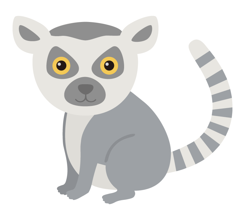 ワオキツネザルのイラスト