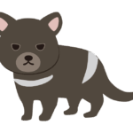 タスマニアデビルのイラスト