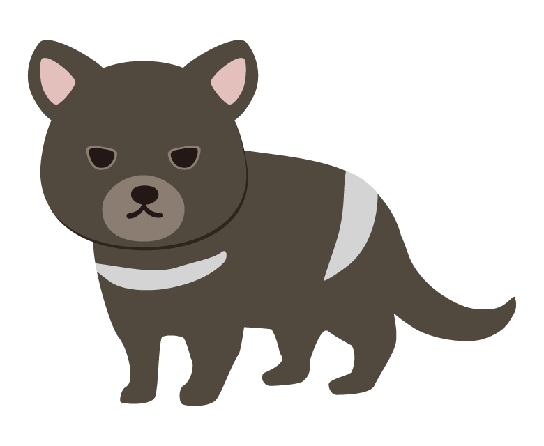 タスマニアデビルのイラスト