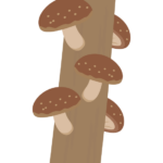 原木シイタケ栽培のイラスト