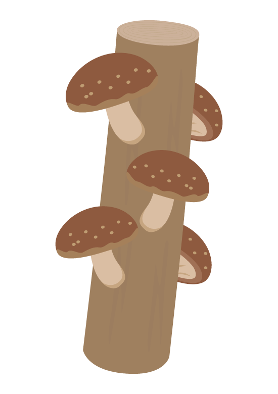 原木シイタケ栽培のイラスト